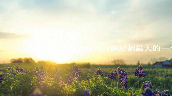 光伏发电会不会成为21世纪初最大的一个***？