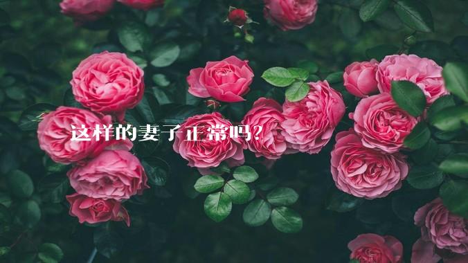 这样的妻子正常吗？