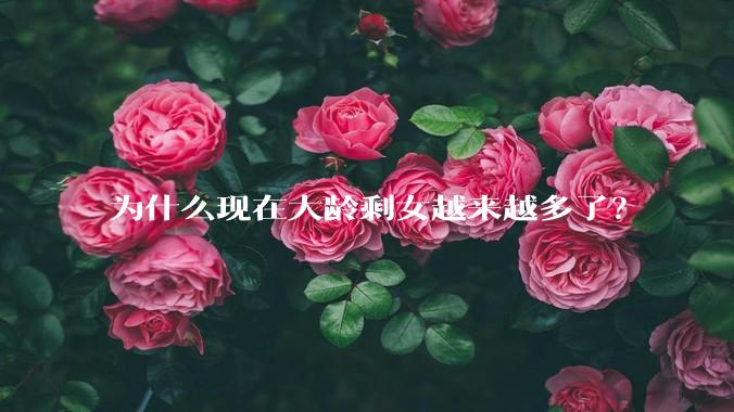 为什么现在大龄剩女越来越多了？
