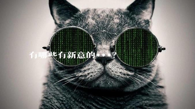 有哪些有新意的***？